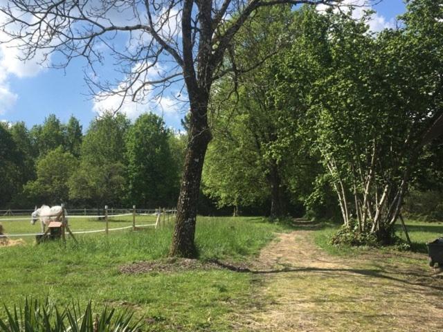 Gite XL Le Clos de Lamie avec piscine privée Fossemagne Esterno foto